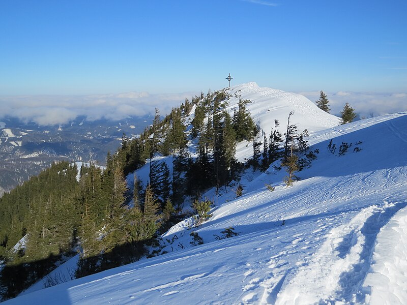 File:2018-01-27 (201) Summit cross at Gemeindealpe, Mitterbach am Erlaufsee, Austria.jpg