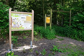 Erklärendes Holzschild am Eingang zu einem Waldweg.