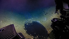 A ROV at 1,067 meters depth. 2018 Gulf of Mexico Brine Pool.jpg