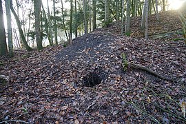 Zwarte stenen heuvel in een dennenbos.