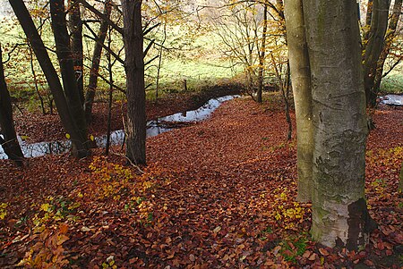 20191124Mühlenbach Schluchtentour13