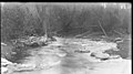 244. Creek north of Jackson Park, Peterborough, Ont., May 1912 (26250709690).jpg