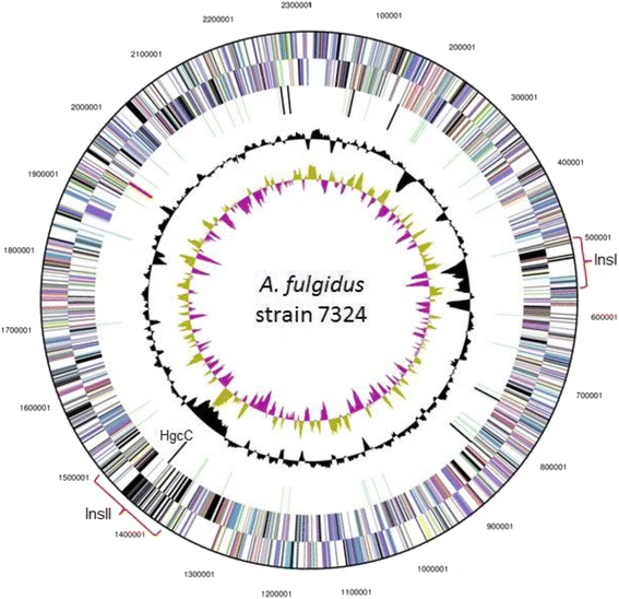 Datei:40793 2017 296 Fig3.webp