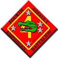 Thumbnail for 4th Assault Amphibian Battalion