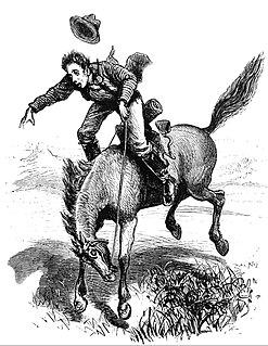 <span class="mw-page-title-main">Cayuse horse</span> Term for a small horse