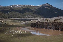 Il lago di Cornino in valle del Salto