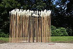 Acoustic trail (2014), Wassenaar