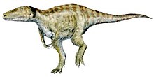 Life restoration Aerosteon BW.jpg