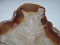 Agate chalcedony quartz SiO2 (39410725781).jpg