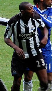 Miniatura pro Shola Ameobi