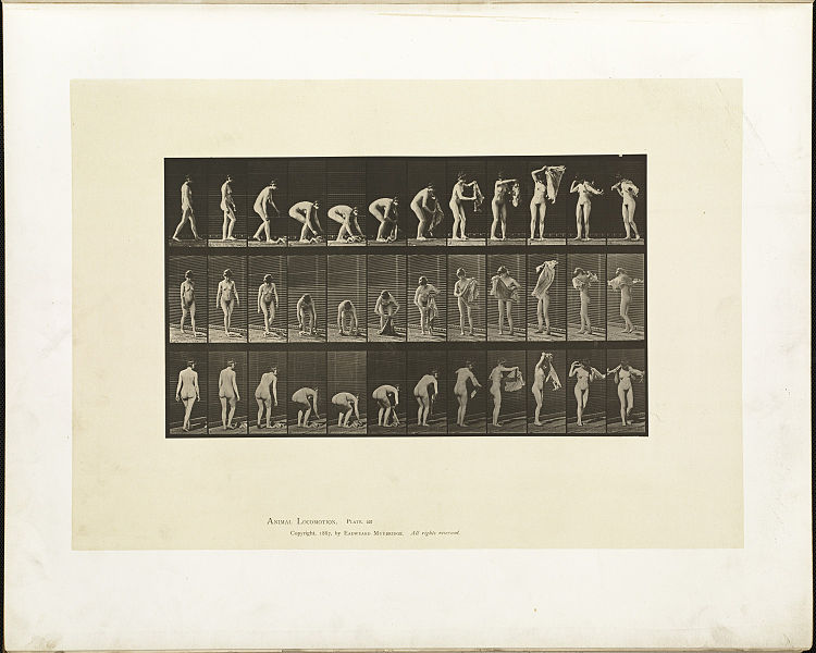 File:Animal locomotion. Plate 227 (Boston Public Library).jpg