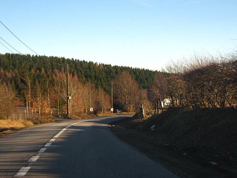 File:Büllingen, Belgium - panoramio - mroszewski.jpg