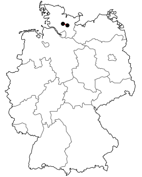 Image illustrative de l’article Bundesstraße 205