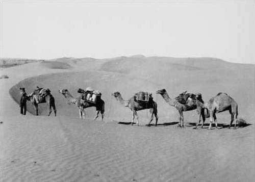 Ted Colson's expedition across the Simpson Desert in 1936