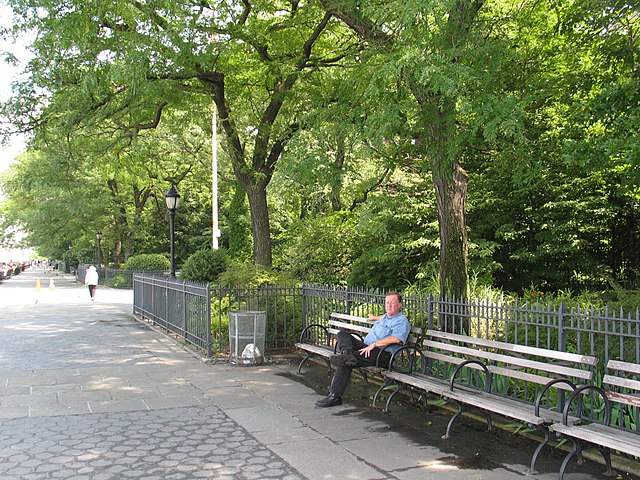 A man sitting on a bench on the Promenade