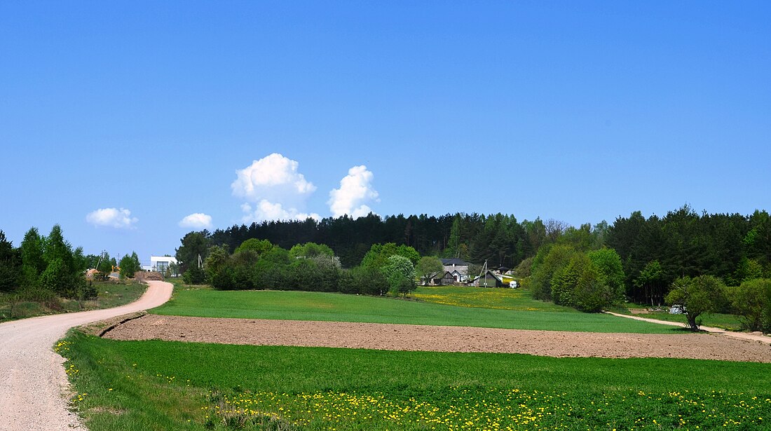 Bajorai (Avižieniai)