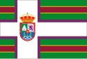 Bandera de Burón (León).svg