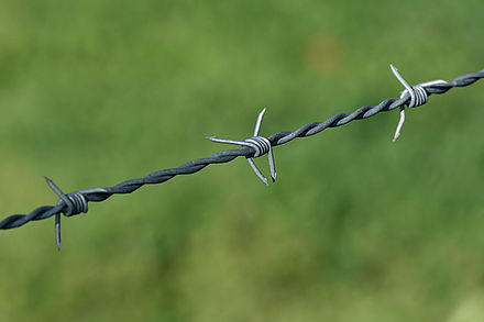 Typical agricultural barbed wire fencing