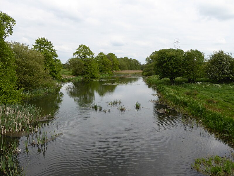 File:Barnes Meadow 9.jpg