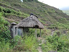 Batad Rice Terraces view deck hut