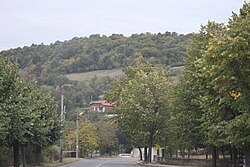 Изглед към селото, 2011 г.