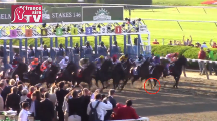 The Belmont Stakes at the starting gate, at Belmont Park, in 2014.