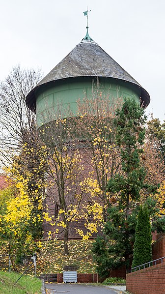 File:Berlin, Botanischer Garten -- 2013 -- 4711.jpg