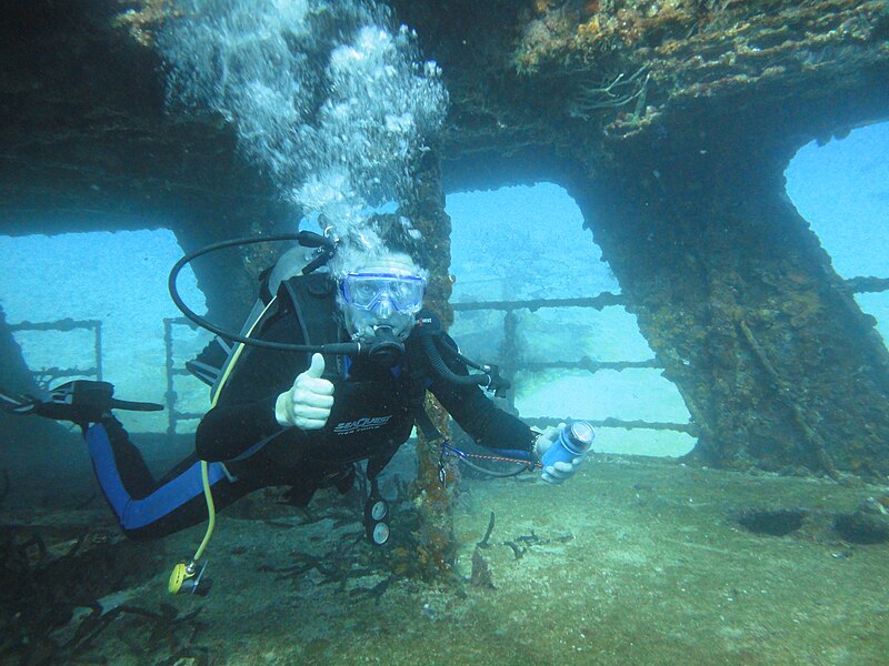 File:Bill Evans (meteorologist) scuba diving.jpg