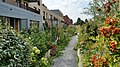 1. Een binnentuin tussen woningen in Den Haag.