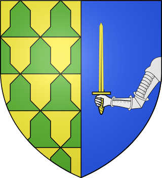 Parti : au premier vairé d'or et de sinople, au second d'azur au dextrochère armé d'argent, mouvant du flanc senestre, tenant une épée d'or (Montrottier)