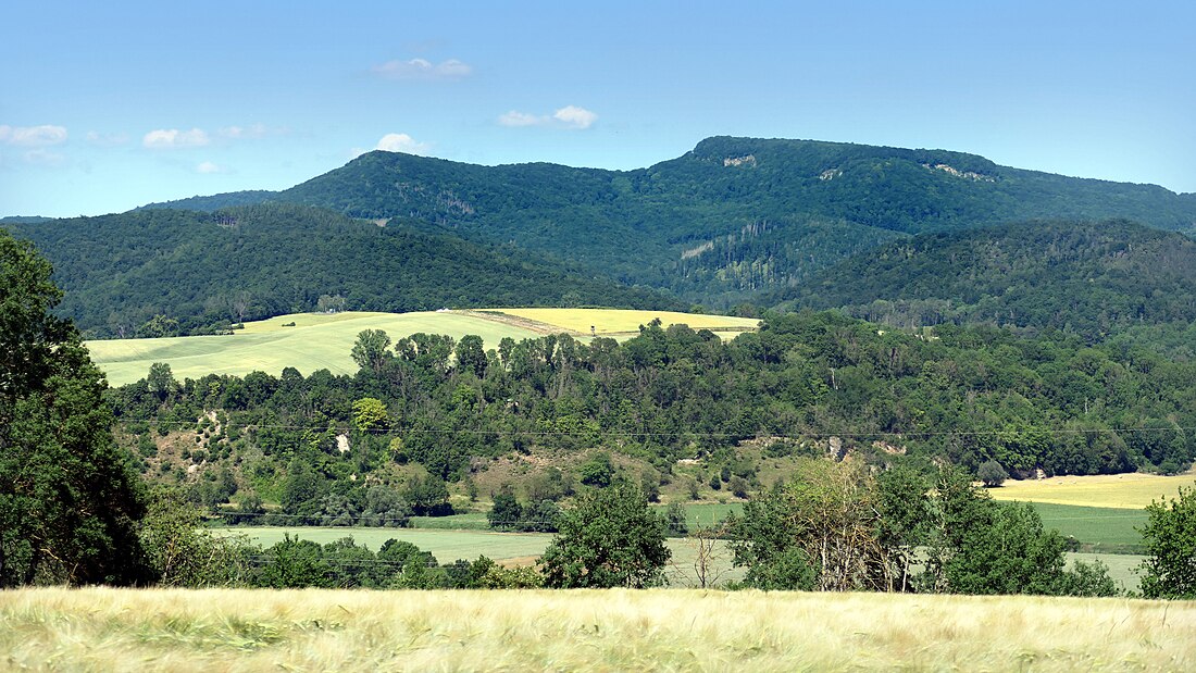 Kalkklippen der Gobert