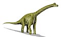 Brachiosaurus BW.jpg