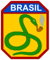 Image 28"The Smoking Snake", insignia of the Brazilian Expeditionary Force in WWII (from Snake)