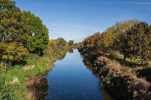 Bridgwater and Taunton Canal - geograph.org.uk - 5178855