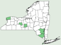 Bromus sterilis NY-dist-map.png