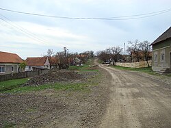 Skyline of Брузник