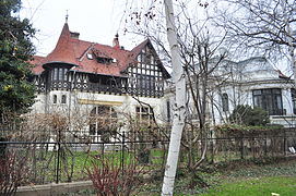 View from Parcul Ion Voicu (a.k.a. Parcul Ioanid). At left, the rear of Dr. Petre Herescu Villa, B-dul Dacia, nr. 52