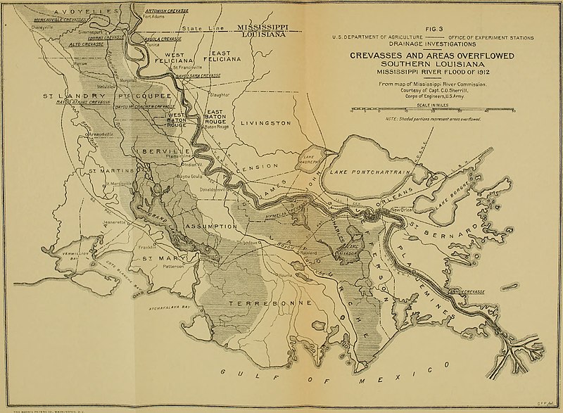 File:Bulletin of the U.S. Department of Agriculture (1913-1923.) (20474517256).jpg