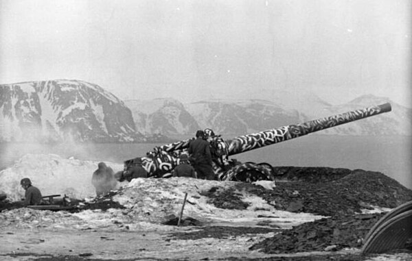 German coastal artillery – German shipping was under constant attack by Soviet-British forces