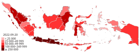 Casi pandemici COVID-19 nella mappa dell'Indonesia (Density).svg