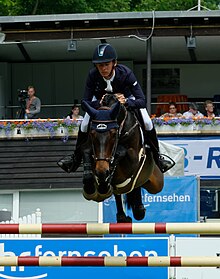 Allen jumping a fence on a dark-bay horse