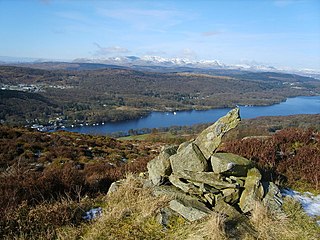 <span class="mw-page-title-main">Staveley Fell</span>