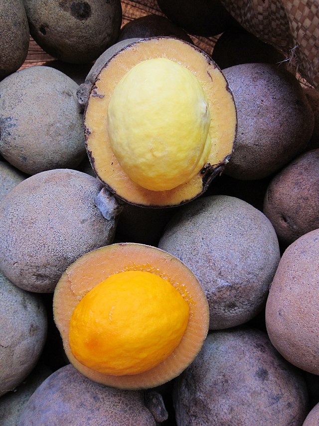 Arbre à fruits - Marie Claire