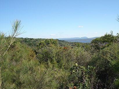 How to get to Castaways Beach with public transport- About the place