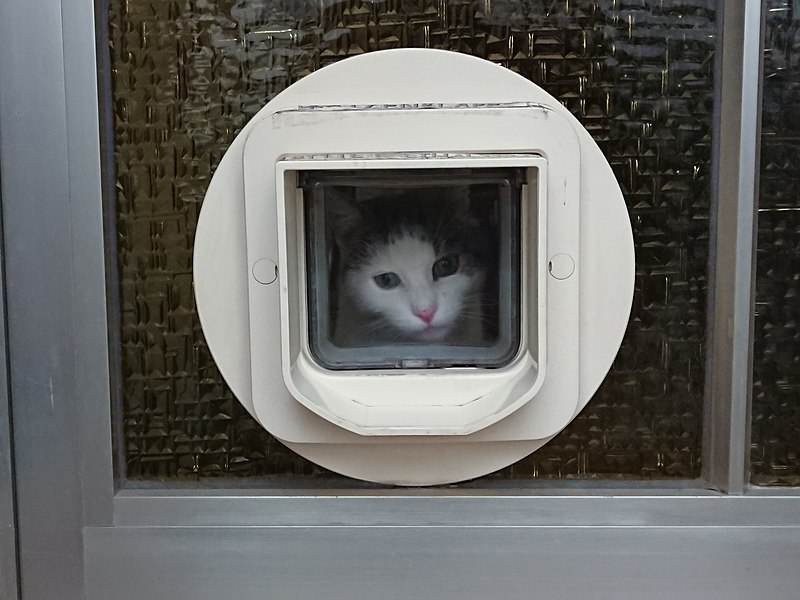 File:Catflap.jpg