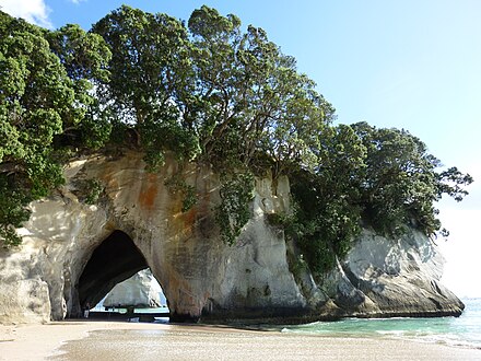 Cathedral Cove arch