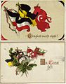 Пропагандистские открытки времен Первой мировой войны с изображением флагов Центральных держав . Флаг Австро-Венгрии показан черно-желтым.