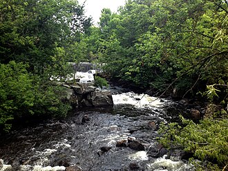 Sides of the Yamaska are covered in vegetation which offers refuge and food to a multitude of animals. What is more, beneath its waters are found equally diverse lifeforms. Chutes YamaskaGranby.JPG
