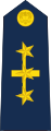 Grado de Coronel del Aire de la Fuerza Aérea Colombiana.