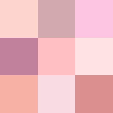 Shades of pink